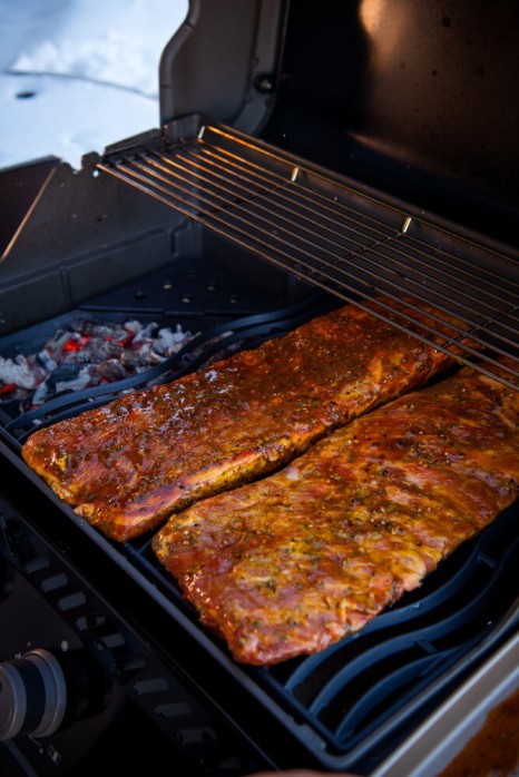 Napoleon Cast Iron Charcoal and Smoker Tray