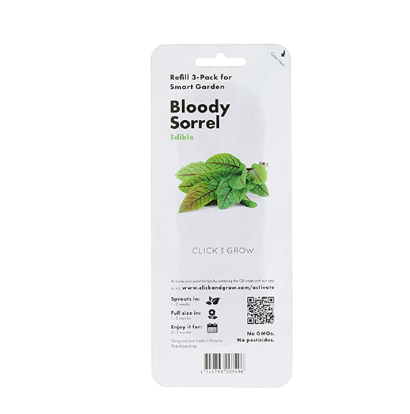 Click and Grow -Bloody Sorrel / 3-pack