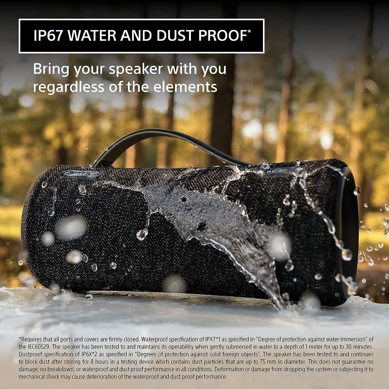 Sony XG300 X-Series Portable Wireless Speaker, Black