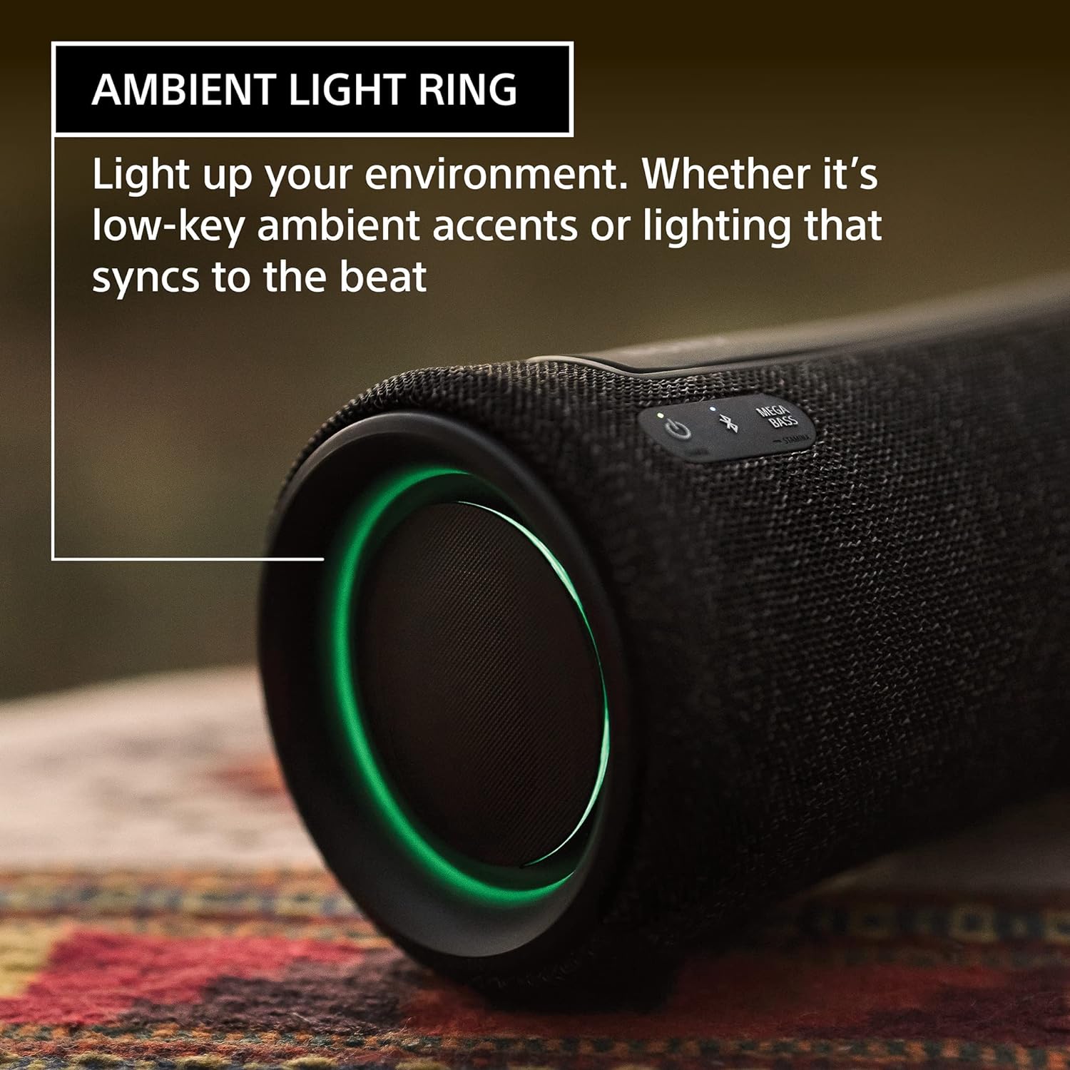 Sony XG300 X-Series Portable Wireless Speaker, Black