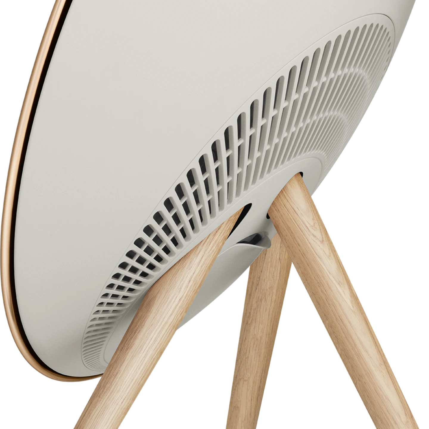 Bang & Olufsen Beosound A9 5.G