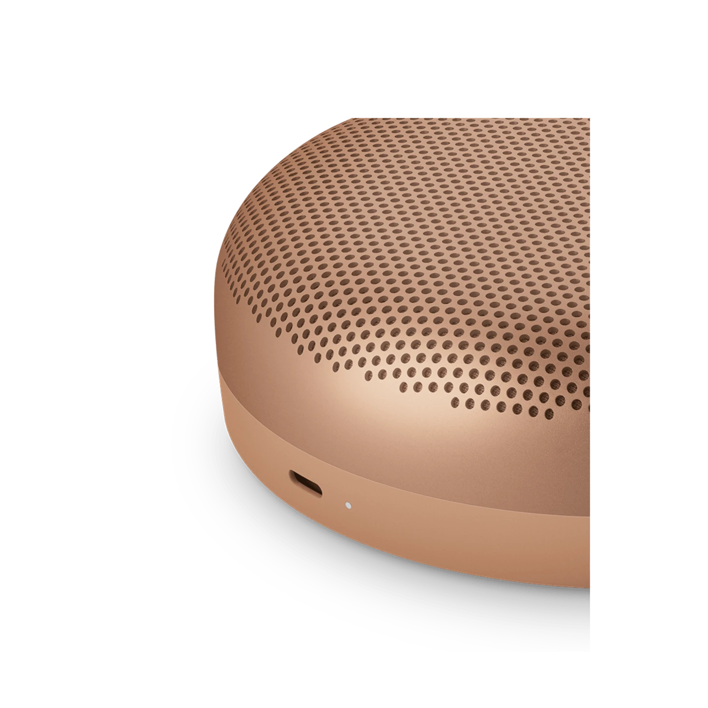 Bang & Olufsen Beosound A1 3rd Gen