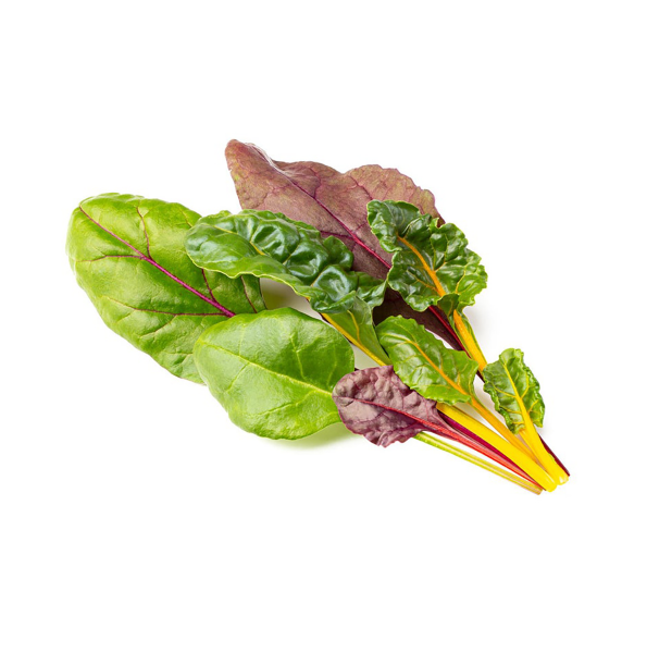 Click and Grow -Rainbow Chard