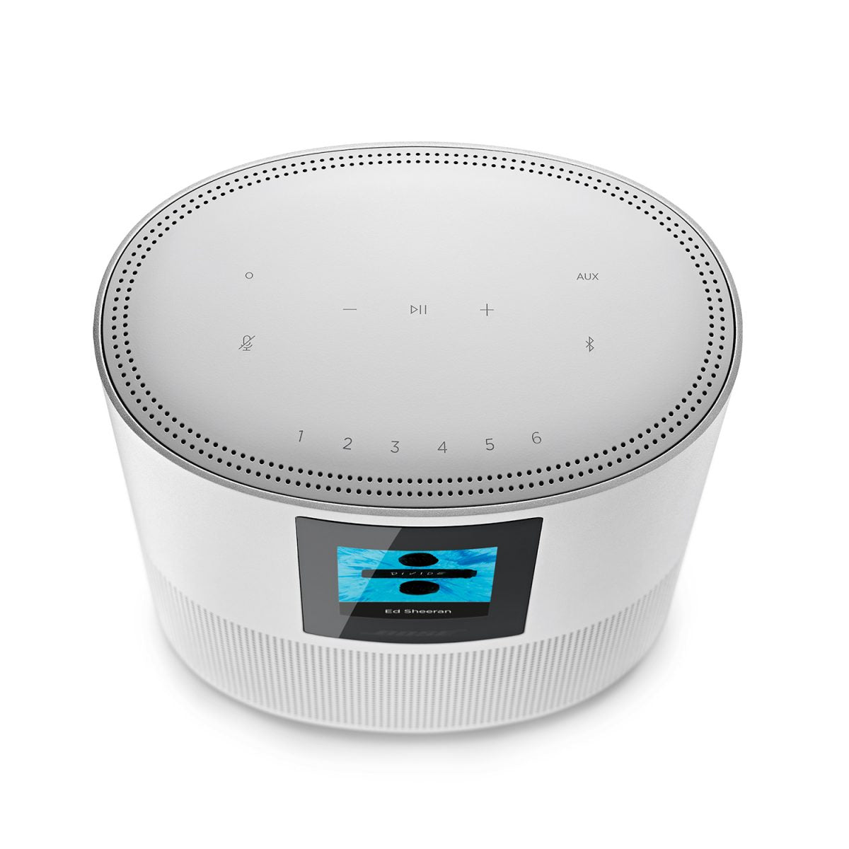 Bose Home Speaker 500 - Luxe Silver