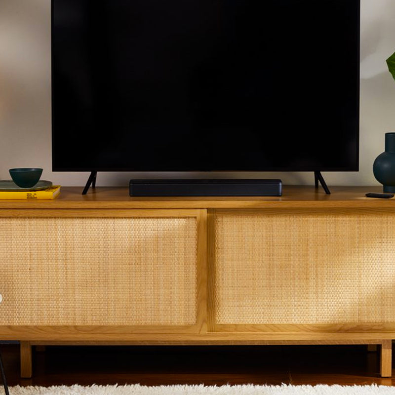 Bose TV Speaker