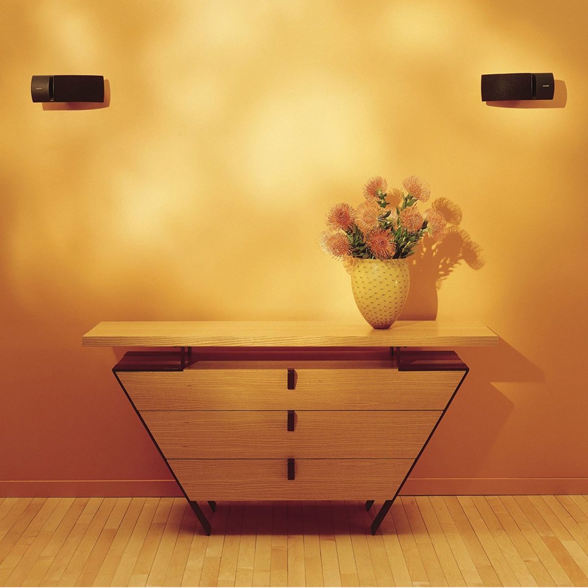 Bose 161 Speaker System - Pair of two, Black