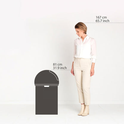 Brabantia Push bin 60 Liter Brilliant Steel, Stainless, 60l, Press-Top