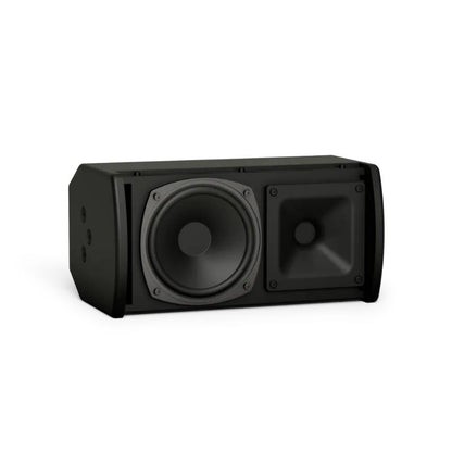 Bose Professional ArenaMatch AMU105 compact high-performance loudspeaker