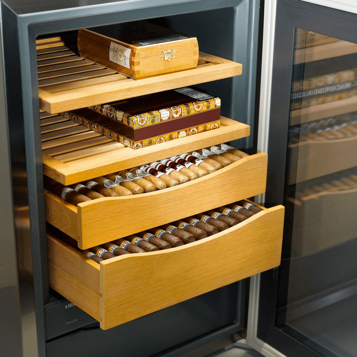 Liebherr ZKes 453 Humidor