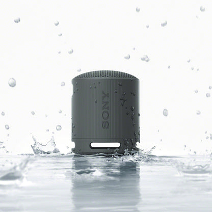 Sony XB100 Compact Bluetooth® Wireless Speaker | Black
