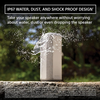 Sony XE300 X-Series Portable Wireless Speaker, Light Grey