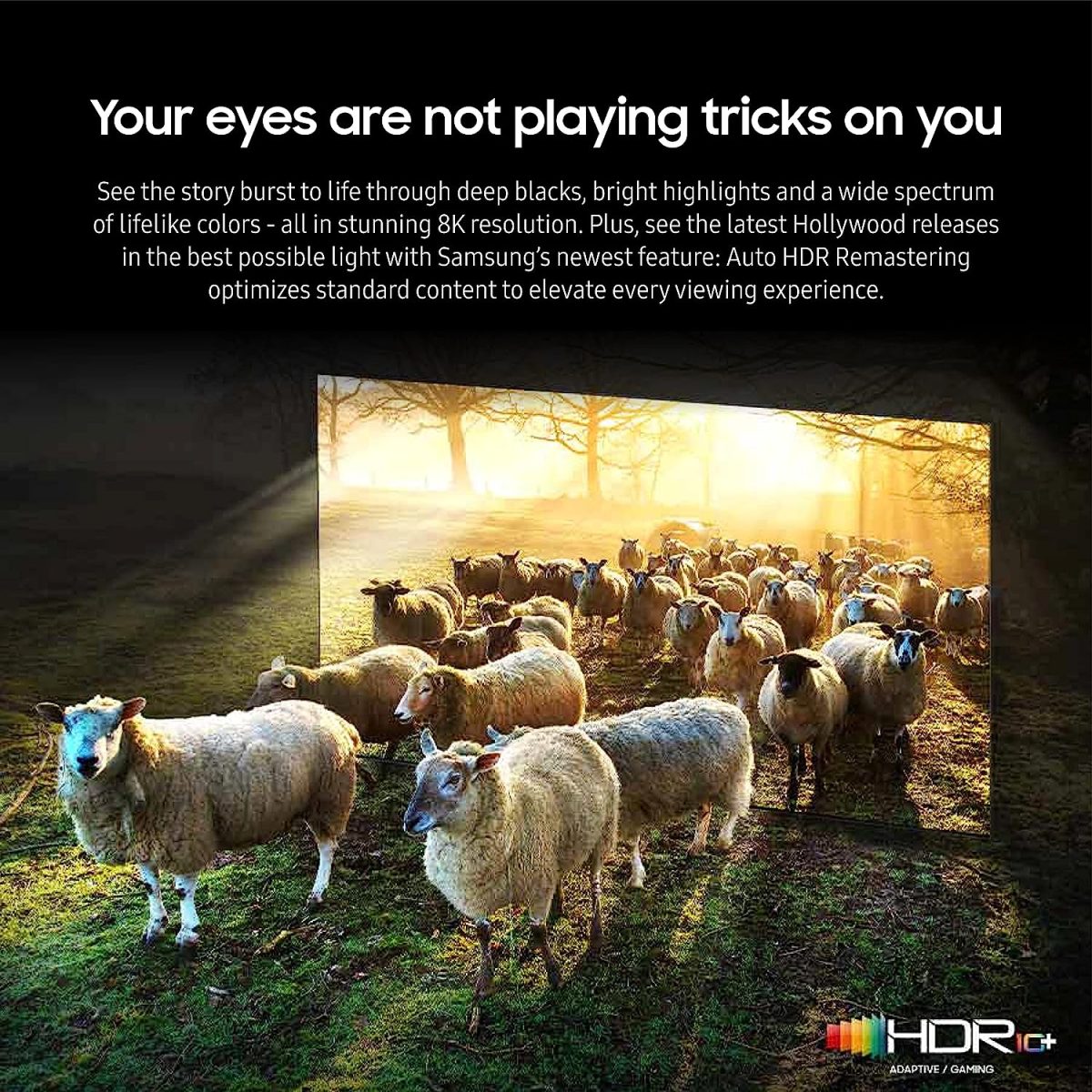 Samsung Neo QLED 8K QN800C