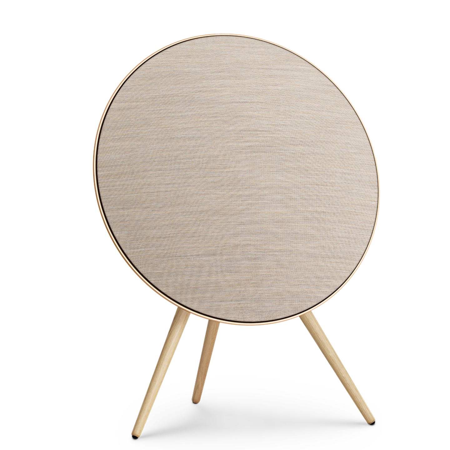 Bang & Olufsen Beosound A9 5.G