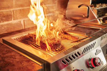 Napoleon Built-in 700 Series Dual Infrared Burner