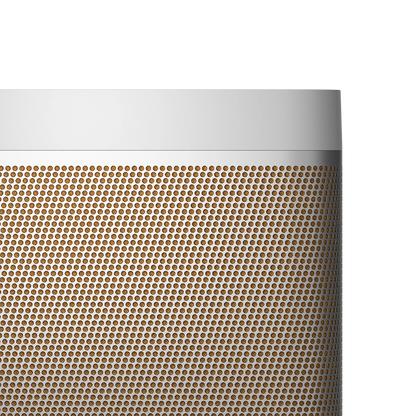 Bang & Olufsen Beolit 20