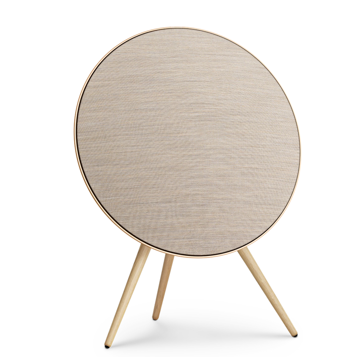 Bang & Olufsen Beosound A9 5.G