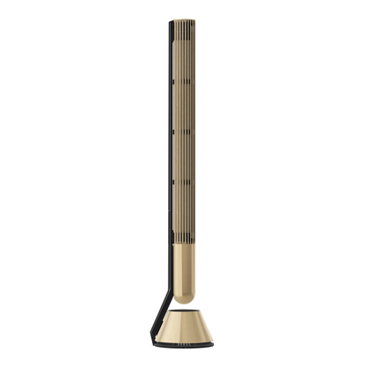 Bang & Olufsen Beolab 28 - Hi-fidelity wireless home speakers