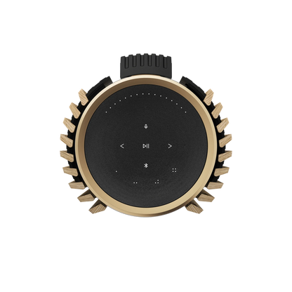 Bang & Olufsen Beolab 28 - Hi-fidelity wireless home speakers