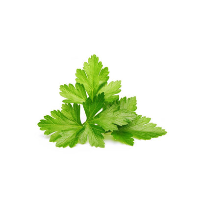 Click and Grow Cilantro/Coriander Plant Pods (3 Packs)