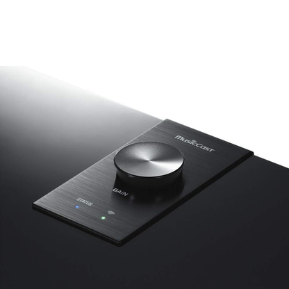 Yamaha NS-NSW100 Musicast SUB 100 Wireless Subwoofer - Black