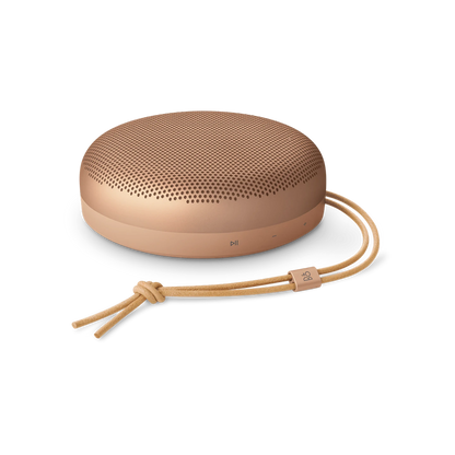 Bang & Olufsen Beosound A1 3rd Gen