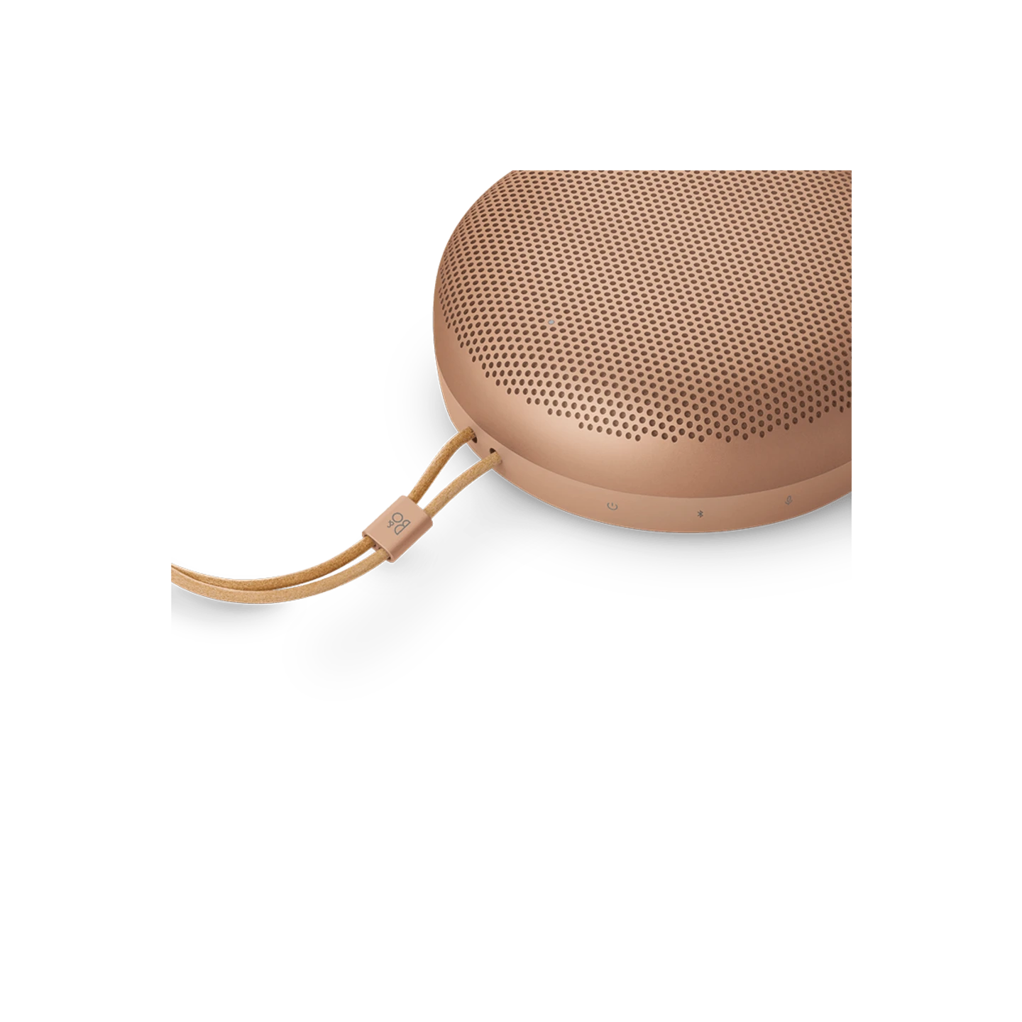 Bang & Olufsen Beosound A1 3rd Gen