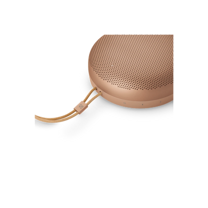 Bang & Olufsen Beosound A1 3rd Gen