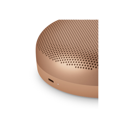 Bang & Olufsen Beosound A1 3rd Gen