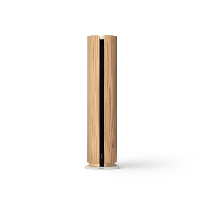 Bang & Olufsen Beosound Emerge Gold Tone Alu/Light Oak