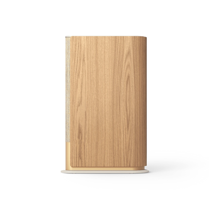 Bang & Olufsen Beosound Emerge Gold Tone Alu/Light Oak