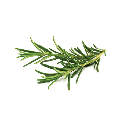 Click and Grow - Rosemary Plant Pods (3 Packs)