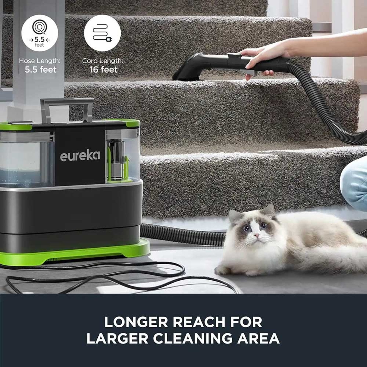 Eureka Spot Cleaner Black/Green NEY100ME
