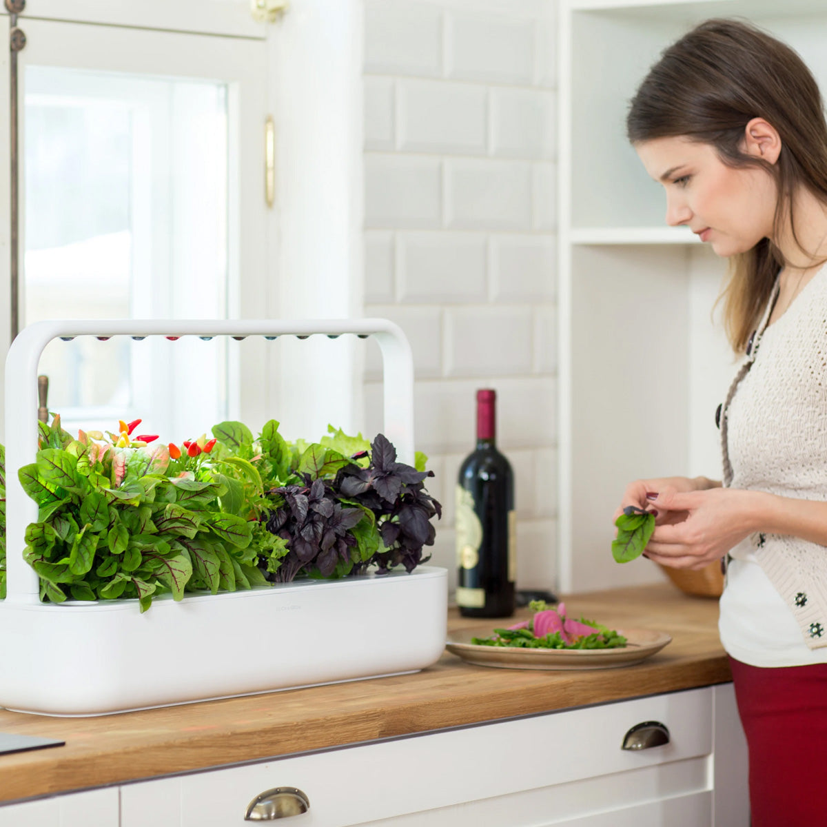 Click and Grow - The Smart Garden 9, Dark Grey