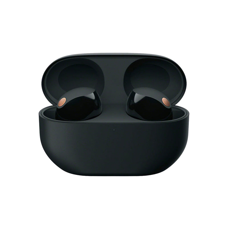 Sony WF-1000XM5 Wireless Noise Cancelling Headphones, Black