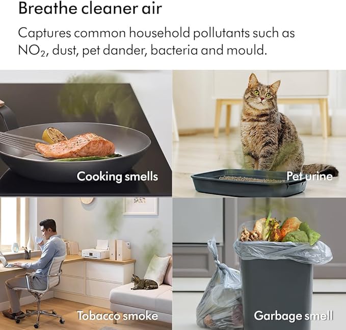 Purifier Cool PC2 De-NOx (White/Gold) TP 12